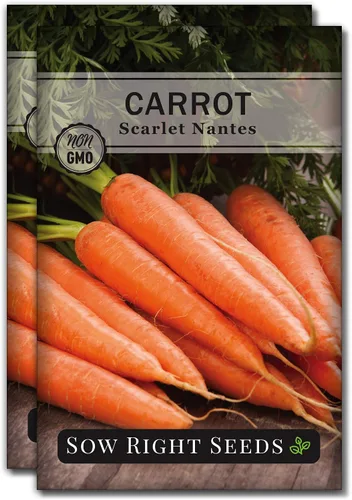 Miniatura 8 de Sow Right Seeds - Semillas de zanahoria Scarlet Nantes a granel para plantar - 0.25 oz, 5000 semillas - Paquete jumbo de reliquia sin OMG