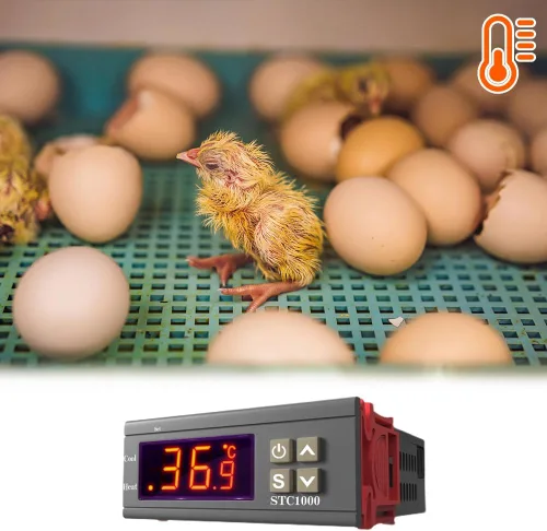 Miniatura 2 de Controlador digital de temperatura, termostato de control de temperatura, sensor de temperatura, interruptor de control centígrado eléctrico