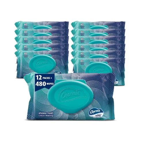 Charmin Toallitas desechables, 480 toallitas en total (12 paquetes de 40)