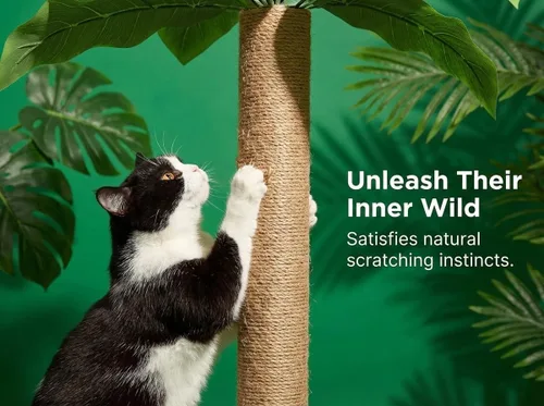 Miniatura 5 de LEMONDA Poste Rascador para Gatos de 31.5 Pulgadas, Árbol Rascador para Gatos con 3 Postes Rascadores y 2 Pelotas Colgantes Interactivas, Postes