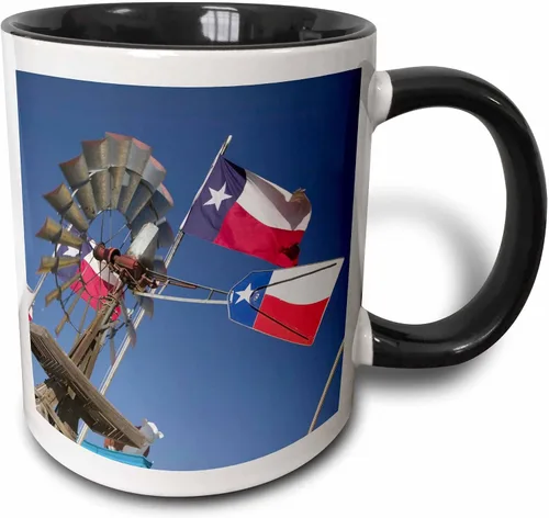 3dRose TEXAS, Panhandle Amarillo Old Water Pump, Banderas, US44 WBI0069 - Walter Bibikow - Taza negra de dos tonos de 11 onzas