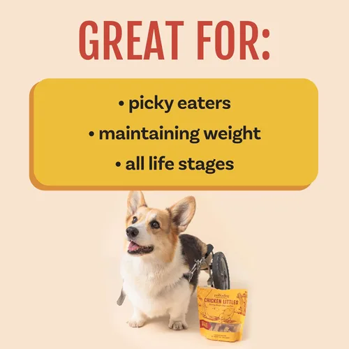 Miniatura 6 de Polkadog Chicken Littles - Golosinas para perros con forma de hueso, pollo, crujientes, totalmente naturales, ingredientes limitados, bocadillos