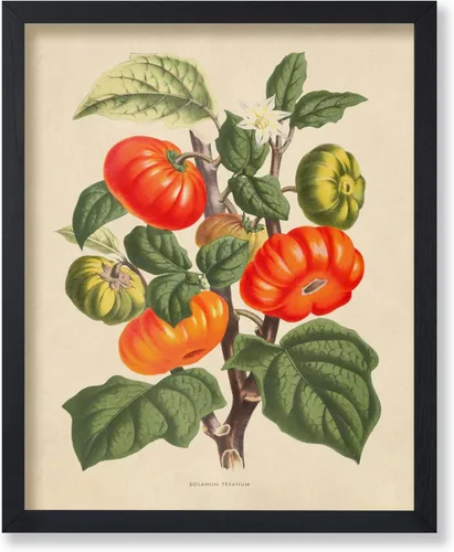 Miniatura 7 de Poster Master Póster Vintage de Plantas Cultivadas - Impresión Botánica Retro - Arte de Flores - Arte de Plantas - Regalo para Hombres y Mujeres