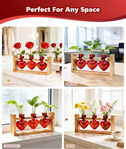 Miniatura 3 de Nacome Estaciones de propagación de terrarios de plantas: regalos del día de la madre para mamá, amantes de las plantas, mujeres, esposa, hija