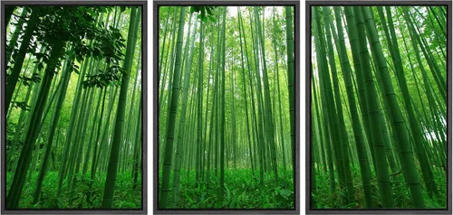 wall26 Lienzo enmarcado para pared, juego de arte debajo de los tallos de bambú verde, naturaleza, desierto, fotografía, realismo, contemporáneo,