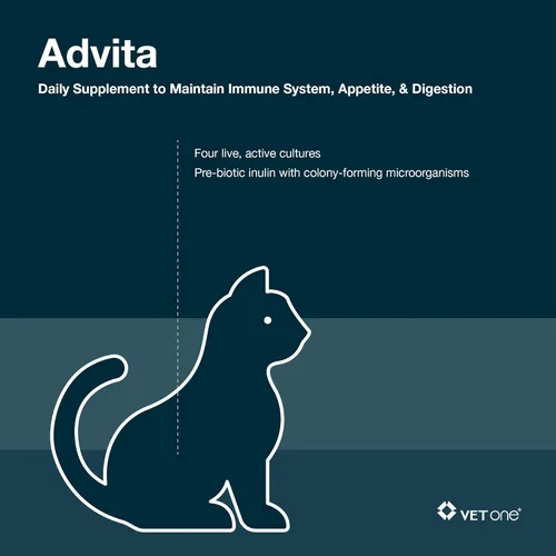 Miniatura 2 de VetOne Advita - Suplemento nutricional probiótico en polvo para gatos, 30 paquetes (0.04 oz)