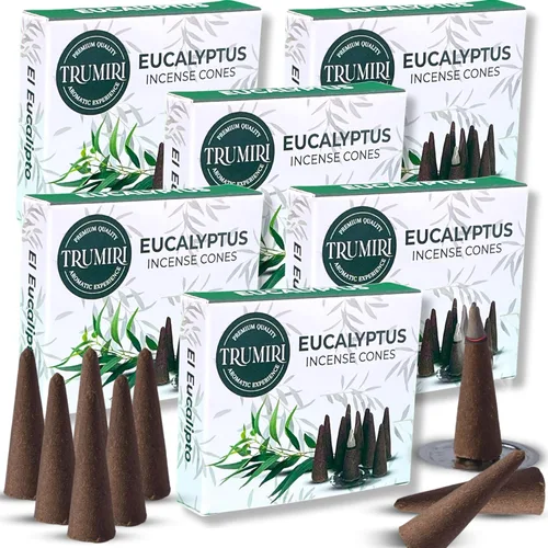 Miniatura 55 de TRUMIRI Incienso ámbar – Paquete de 20 conos (2 x 10) – Incienso de cono perfumado