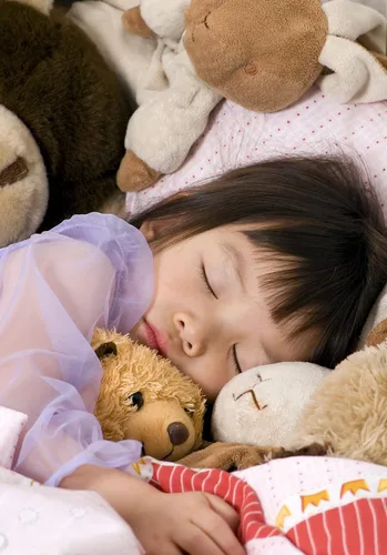 Miniatura 8 de Fairfield The Original Poly-Fil, relleno de fibra de poliéster de alta calidad, relleno de almohada suave, relleno para animales de peluche