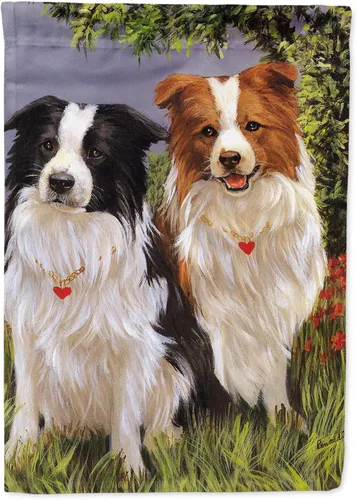 Caroline's Treasures PPP3029GF Bandera de jardín de Border Collie Patrol Bandera de buzón Bandera decorativa para patio exterior, patio, obras de