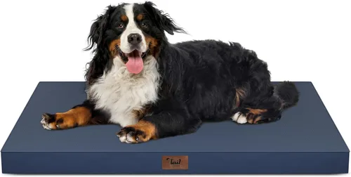 Miniatura 121 de Cama ortopédica de felpa para perros y cachorros medianos, camas impermeables para perros de 30 x 20 pulgadas con funda extraíble lavable, tapete