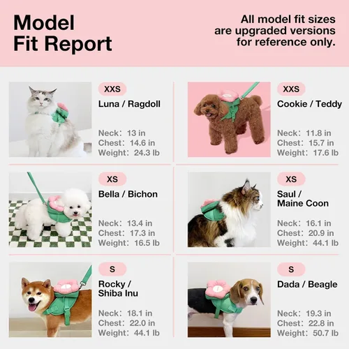 Miniatura 4 de VETRESKA Flora - Juego de arnés para perro, correa y collar, arnés de chaleco para perro sin tirones para caminar y entrenar, ajustable, fácil