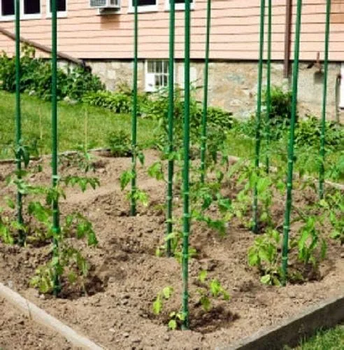 Miniatura 3 de Estacas de jardín de acero recubierto de plástico verde de 5 pies (200)