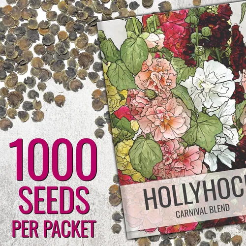 Miniatura 3 de Seed Needs Hollyhock Seeds - Carnaval mixto Más de 1,000 semillas de flores tradicionales Alcea rosea Mezcla bienal de flores silvestres que