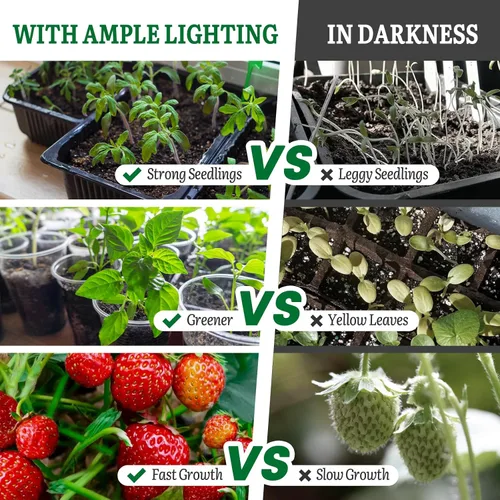 Miniatura 3 de SOLIGT Luces de Cultivo para Inicio de Semillas, Luces de Crecimiento LED de Espectro Completo de 2 Pies con 4 Niveles de Brillo y Temporizador