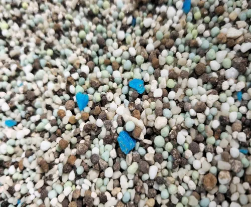 Miniatura 5 de Fertilizante de palmera de doble acción con cuchara de medición gratuita