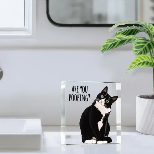Miniatura 6 de ¿Estás haciendo caca? Letrero divertido, decoración de gato negro, decoración de baño acrílica de gato, decoración creativa para el hogar, regalo