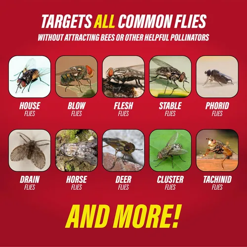 Miniatura 9 de Catchmaster 975 - Trampa para moscas desechables para exteriores Catches house, bottle & blowflies, Holds up to 30,000 flies, Food-based lure,