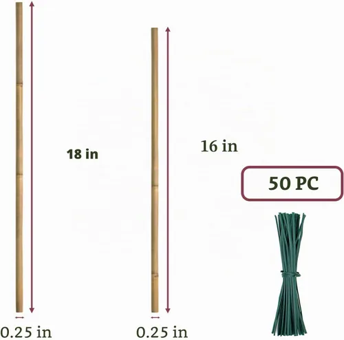 Miniatura 2 de 50 estacas para plantas, estacas de bambú natural, estacas de jardín para plantas de interior y exterior, palos POLIUMB para tomates, frijoles
