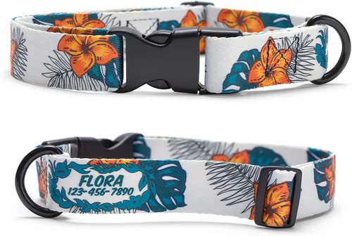 Hawaiian Plumeria Dog Collar Personalized (Small 5/8")