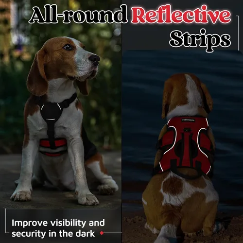 Miniatura 8 de rabbitgoo - Arnés para perro a prueba de fugas, arnés para mascotas acolchado suave de cuerpo completo, chaleco reflectante ajustable sin tirones