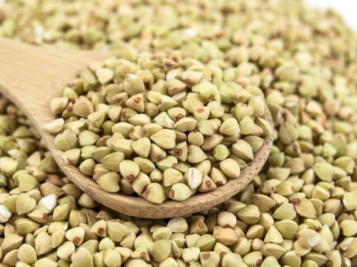 Semillas de trigo sarraceno, paquete de 100 semillas, sin OMG, una planta versátil con una amplia gama de usos. - Country Creek LLC