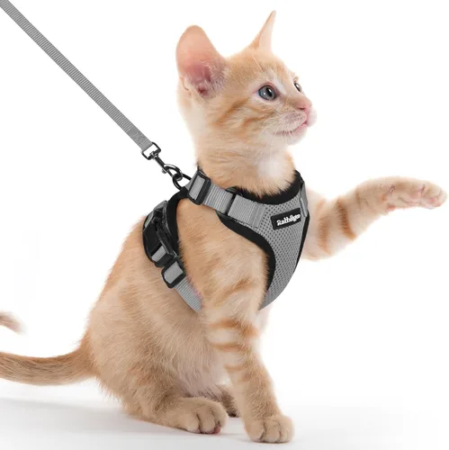 Miniatura 79 de rabbitgoo Juego de arnés y correa para gatos, arnés a prueba de escapes para paseos seguros al aire libre, chaleco suave transpirable ajustable
