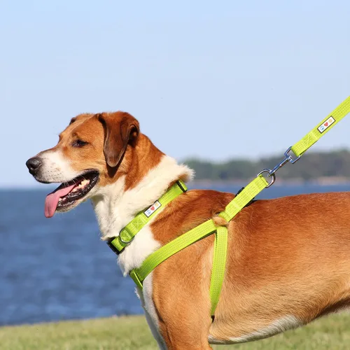 Miniatura 8 de Pawtitas Arnés Reflectante Step-in para Perro – Chaleco Ajustable Anti-Tirones para Cachorros a Perros Mayores, Seguro y Cómodo, L Negro
