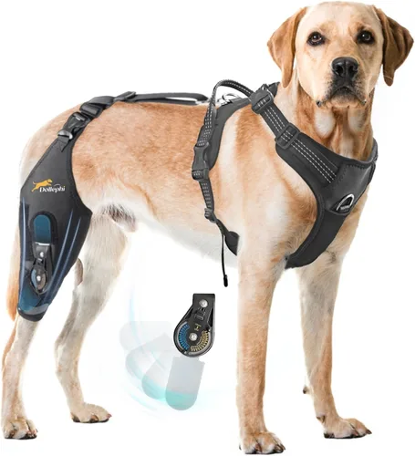 Rodillera para perro para pierna trasera desgarrada de ACL con estabilizador de bisagra ajustable, soporte de espalda de perro para osteoartritis,