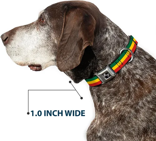 Miniatura 6 de Buckle-Down Collar de perro con hebilla para cinturón de seguridad, 1 pulgada de ancho, se adapta a cuello de 9 a 15 pulgadas, pequeño