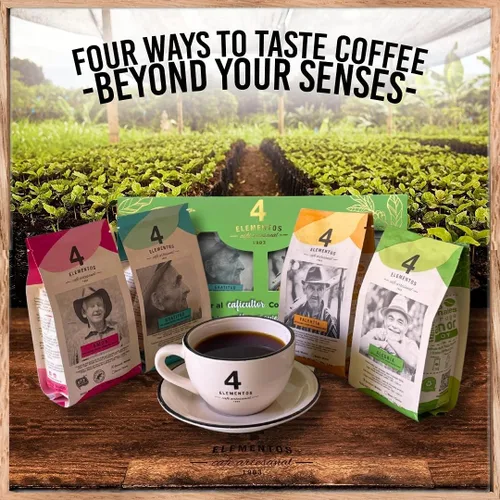 Miniatura 4 de Paquete de café molido de 4 elementos, orgánico, sostenible, de origen único, tostado artesanal, calidad premium, paquete total de 12 onzas