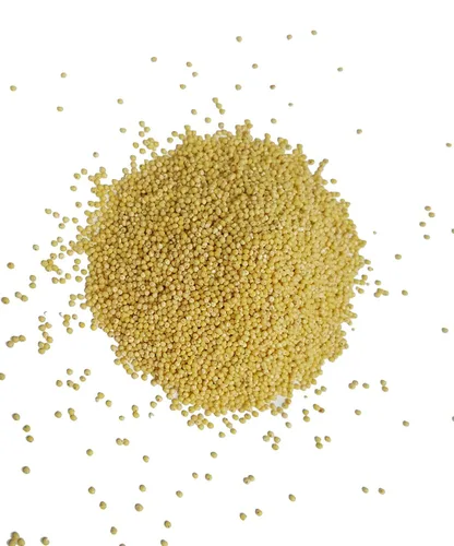 Mijo orgánico cultivado en Estados Unidos, semillas de grano entero sin OMG descascarillado sin gluten crudo a granel