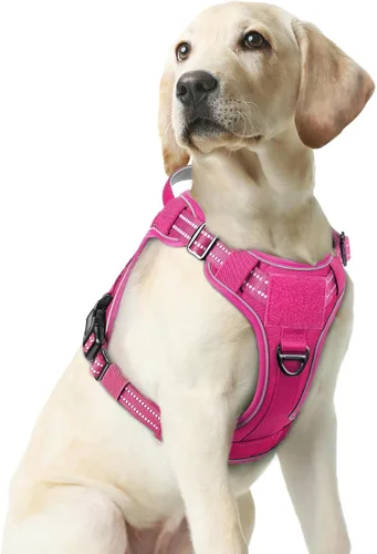 Miniatura 17 de rabbitgoo - Arnés para perros pequeño sin tirones, chaleco táctico de servicio con Molle y asa de control, arnés militar ajustable y reflectante