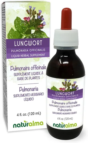 Naturalma Hierba pulmonaria officinalis) con flores tintura sin alcohol - 4 onzas líquidas de extracto líquido en gotas - Suplemento de hierbas -