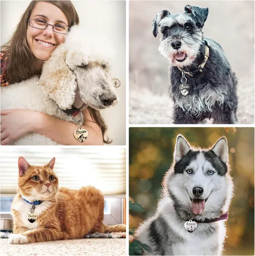 Miniatura 5 de Etiquetas de perro de acero inoxidable para mascotas, etiquetas grabadas de doble cara para perros y gatos, etiqueta de identificación personalizada