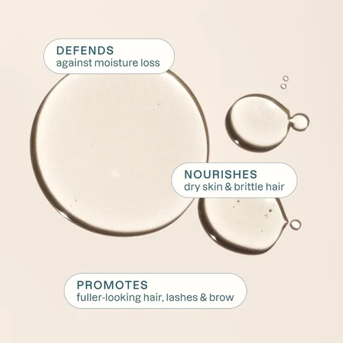 Miniatura 4 de Cliganic - Aceite de Ricino Orgánico, 100% Puro (480 ml con Kit de Pestañas) - Para Pestañas, Cejas, Cabello y Piel A Granel, Natural Prensado