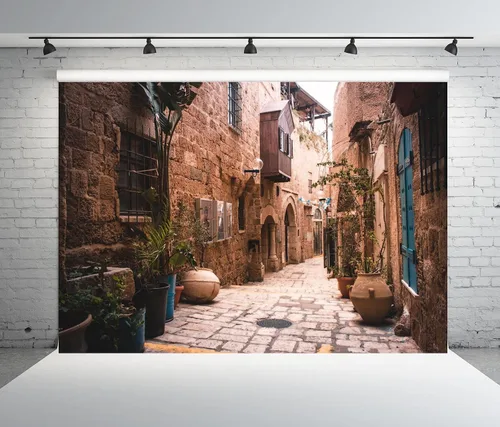 BELECO Telón de fondo de tela de 5 x 3 pies, diseño de calle de la ciudad vieja, Israel, casas de piedra, macetas, nostalgia, fotos, fondo, para