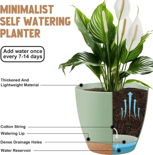 Miniatura 4 de QRRICA Macetas para Plantas de 8/7/6.5/6/5.5/5 Pulgadas con Autoriego, Juego de 6 Macetas de Plástico con Agujeros de Drenaje y Platillos, Macetas