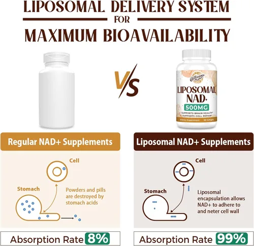 Miniatura 3 de Suplemento liposomal NAD+ de 500 mg, suplemento True NAD Plus, absorción superior, mejora el NAD+ más eficiente que la ribósido de nicotinamida