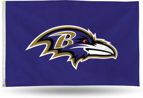 Miniatura 18 de NFL Rico Industries - Bandera estándar de 3 x 5 pies, de una cara, para interior o exterior, decoración del hogar