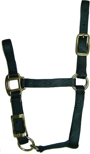 Miniatura 6 de Hamilton Quality Horse Halter, nailon de triple capa de 3/4", correa ajustable para la barbilla, poni o mini burro, 100-200 libras, negro