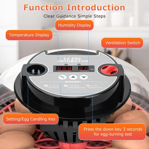 Miniatura 3 de 12 incubadoras de huevos para incubar huevos, incubadora automática de huevos con control de temperatura, control de humedad y pantalla para huevos