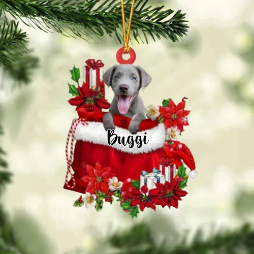 Miniatura 98 de Perro Akita Inu personalizado en bolsa de regalo, adorno de Navidad, nombre personalizado, regalo para amantes de los perros, familia, Navidad