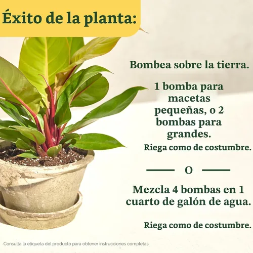 Miniatura 6 de Miracle-Gro Alimento para plantas de interior para todas las plantas, alimento líquido para plantas de interior, flores, verduras, hierbas y más, 8