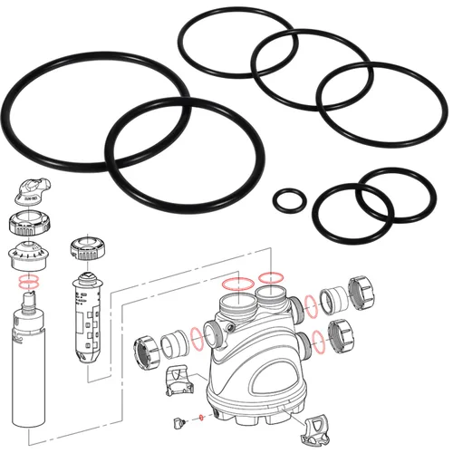 Black R0502500 - Kit de sellado de juntas tóricas para Nature2, limpiador de desinfectante de agua, kit de reconstrucción de oring, fusión en