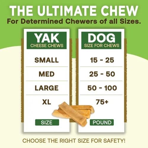 Miniatura 4 de EcoKind Premium Gold Yak Cheese - Masticables para perros del Himalaya, golosinas saludables para perros de todas las razas y tamaños, todo natural