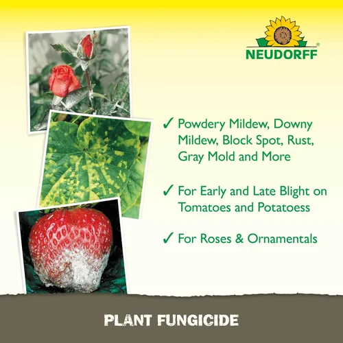 Miniatura 4 de Neudorff Spray fungicida para plantas, fungicida de jabón de cobre para rosas, frutas y verduras para controlar el moho polvoriento y otras