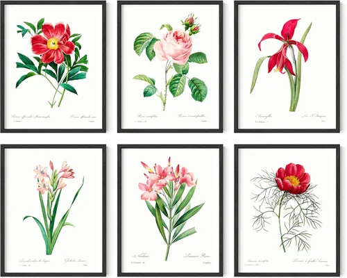 HAUS AND HUES Pósteres e impresiones de flores vintage, juego de 6 impresiones botánicas de flores silvestres | Póster de plantas florales para