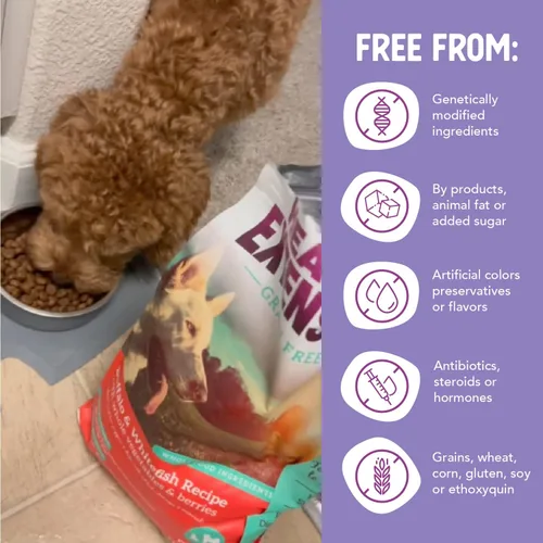 Miniatura 7 de Health Extension Alimento seco para perros, alimento natural con vitaminas y minerales añadidos, adecuado para todos los cachorros, incluye receta
