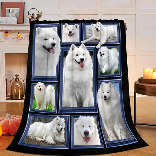 Miniatura 18 de Manta decorativa de béisbol – Cómodo forro polar de franela de felpa, ligera, cálida, suave, esponjosa, difusa, 40 x 50 pulgadas para niños, niños