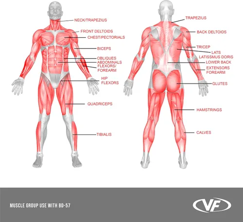 Miniatura 8 de Valor Fitness Barra de dominadas para sentadillas con ganchos en J y almacenamiento de platos de 2 pulgadas, soporte resistente para gimnasio